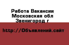 Работа Вакансии. Московская обл.,Звенигород г.